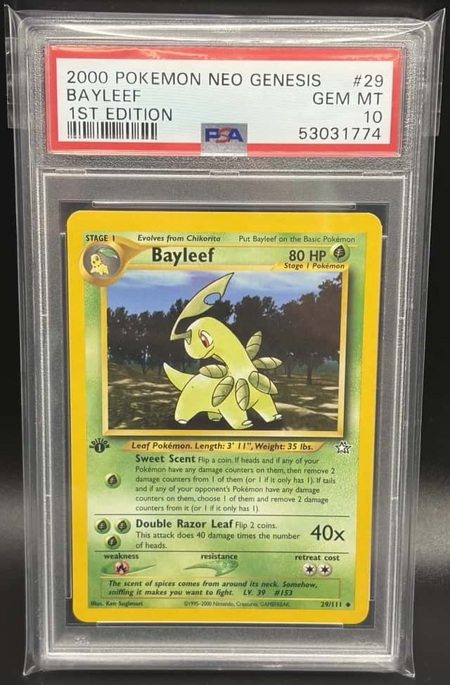 Bayleef