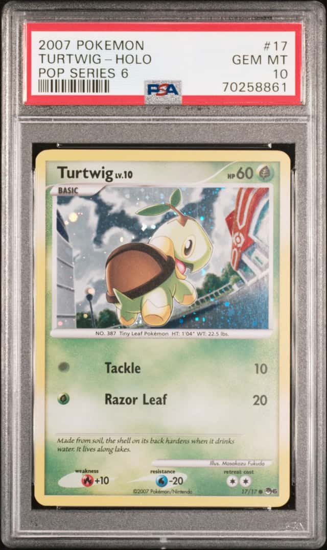 Turtwig