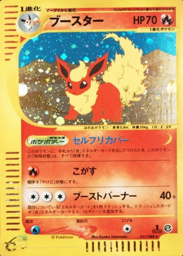 1st Edition