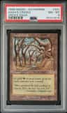 Gaea'S Cradle