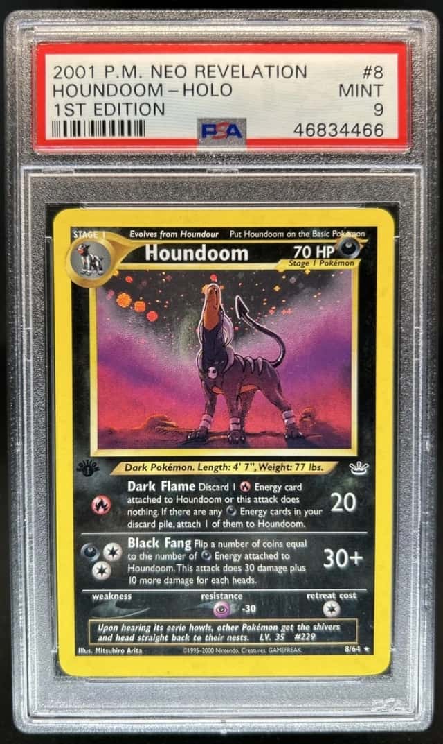 Houndoom