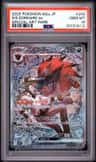 N'S Zoroark Ex