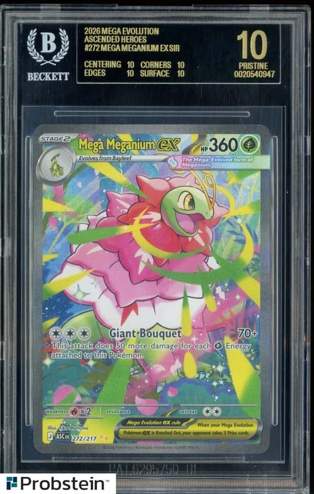 MEGA MEGANIUM ex