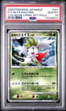 Icy Sky'S Shaymin