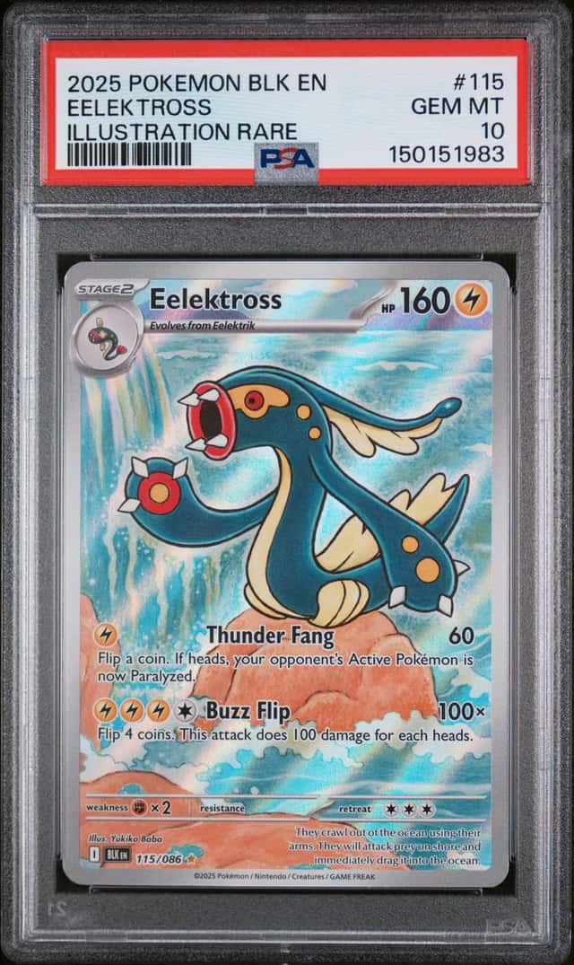 Eelektross