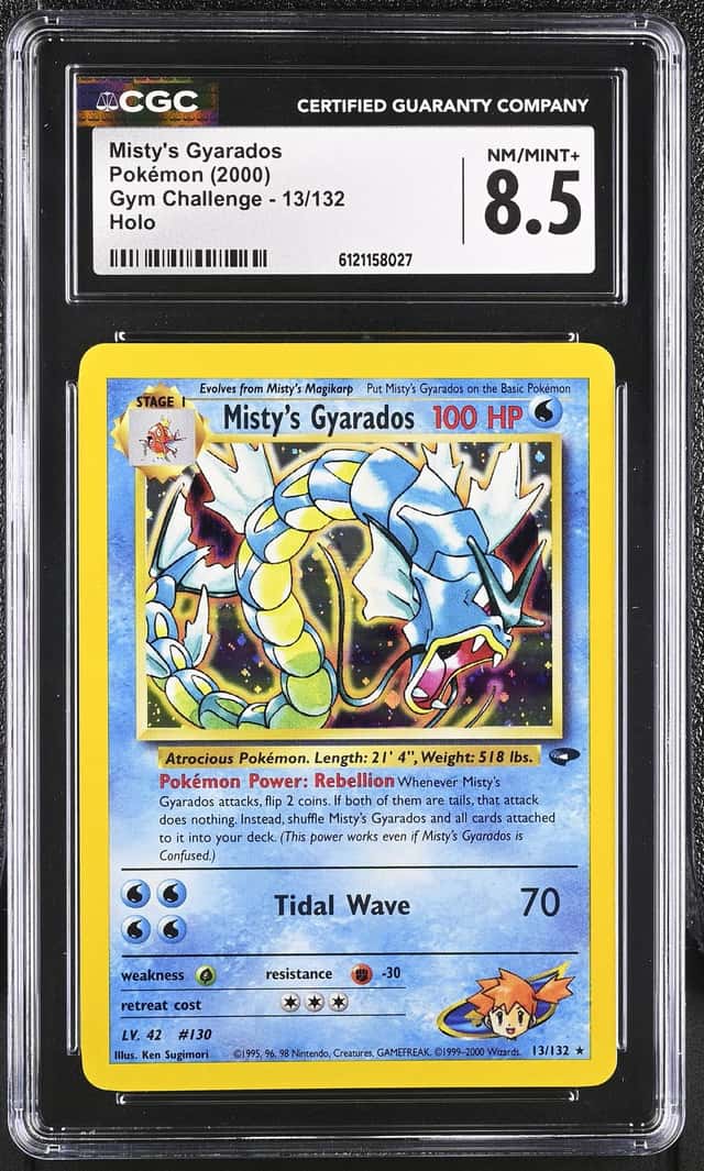 Misty's Gyarados