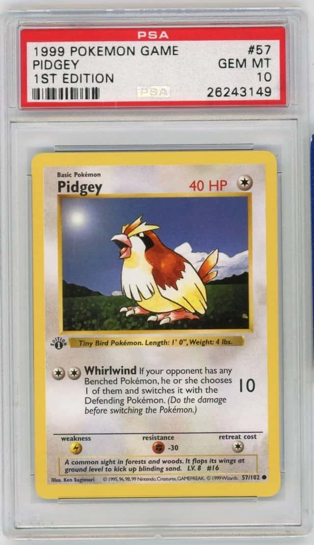 Pidgey