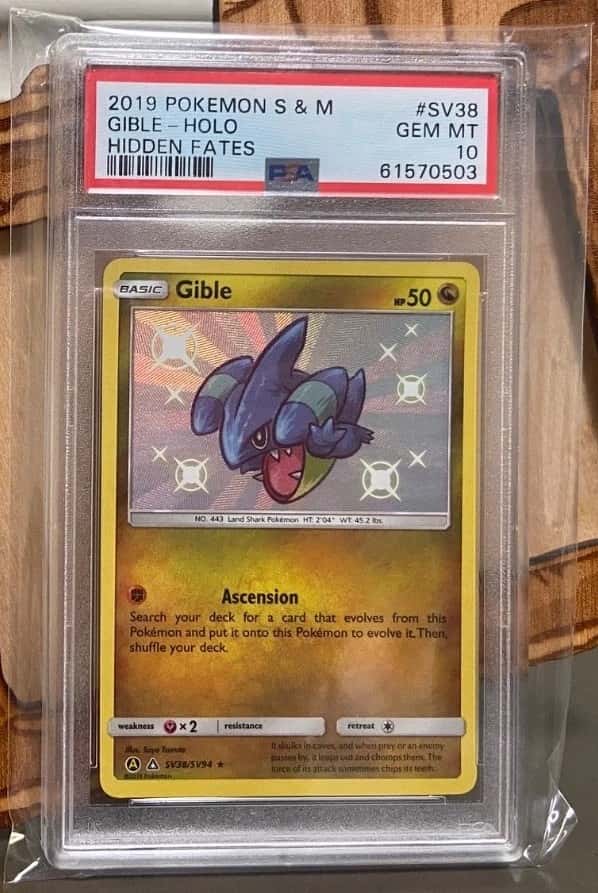 Gible