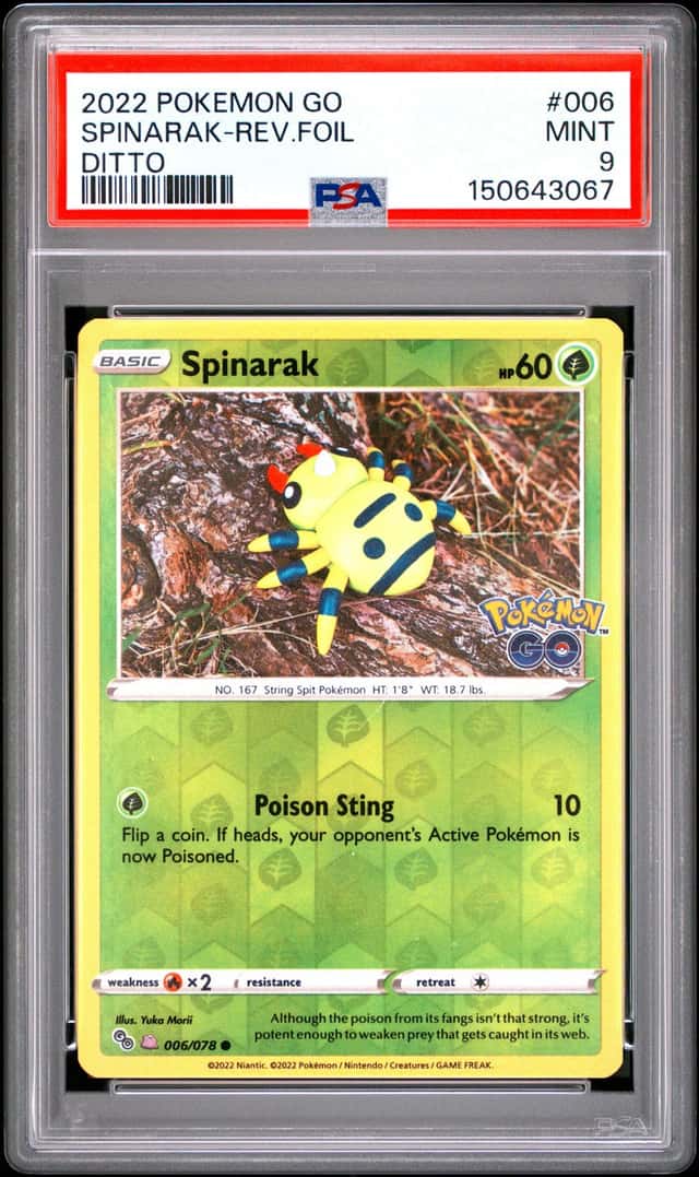 Spinarak