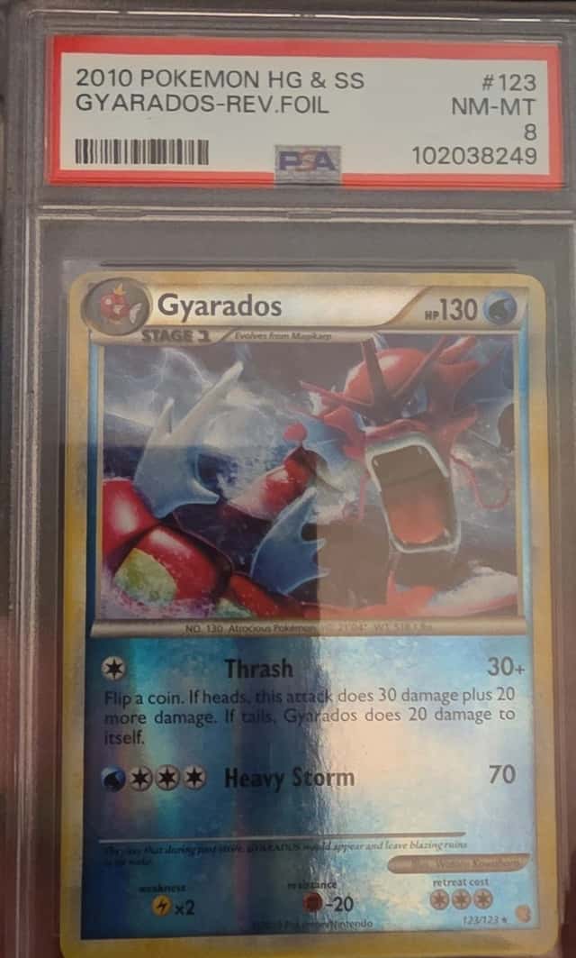Gyarados