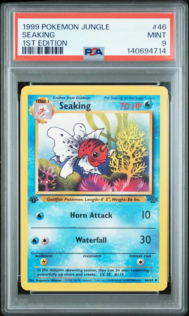 Seaking