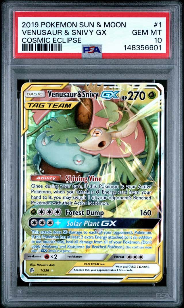 Venusaur & Snivy GX