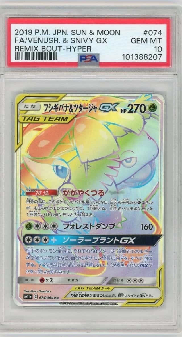 Venusaur & Snivy GX
