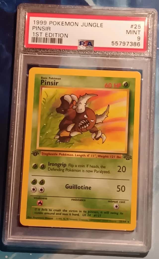 Pinsir