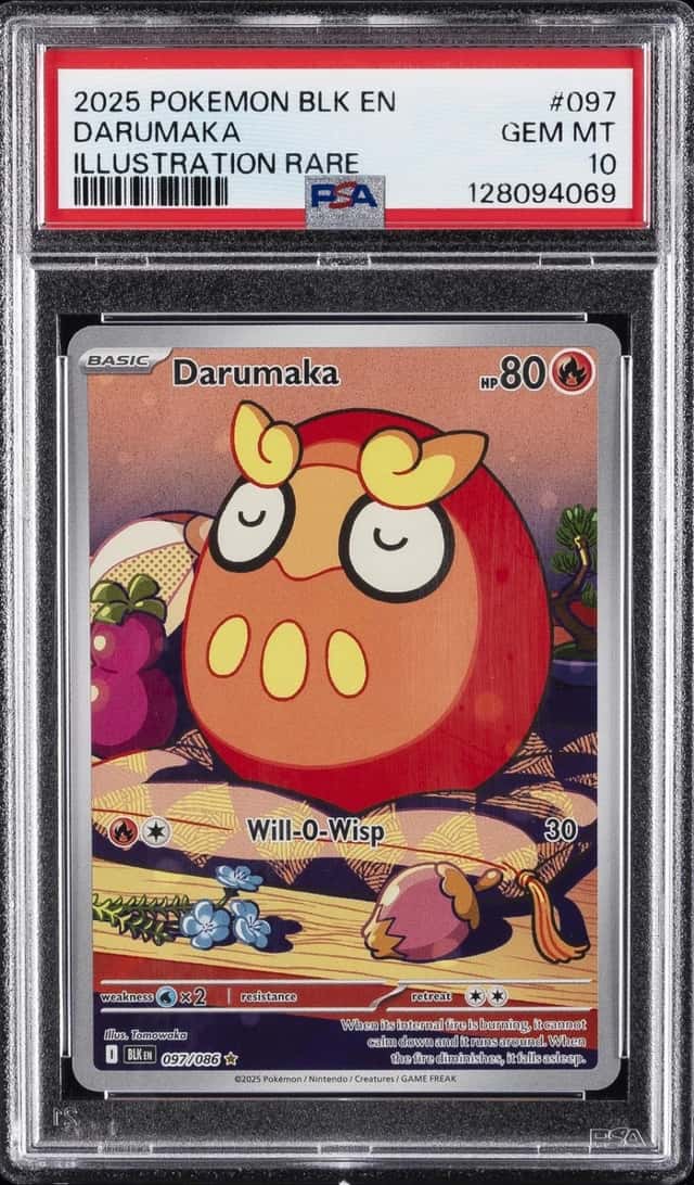 Darumaka