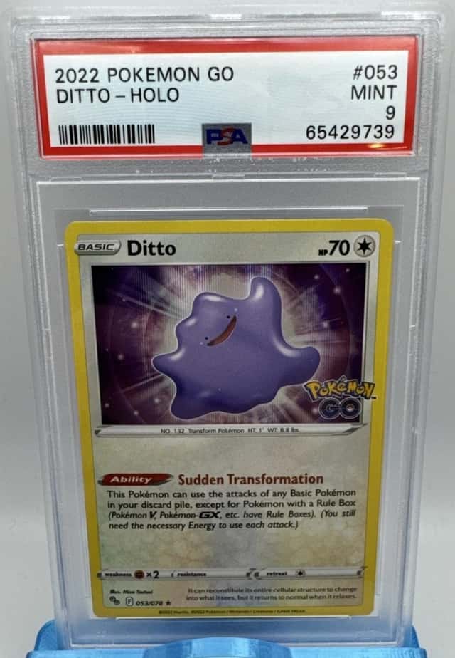Ditto