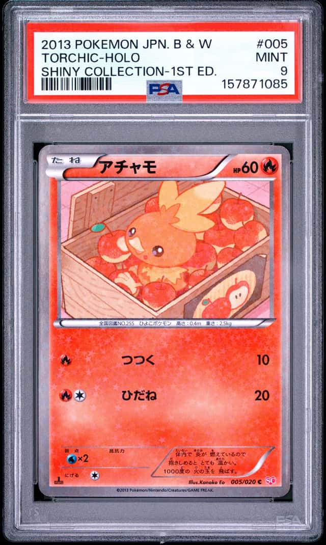Torchic