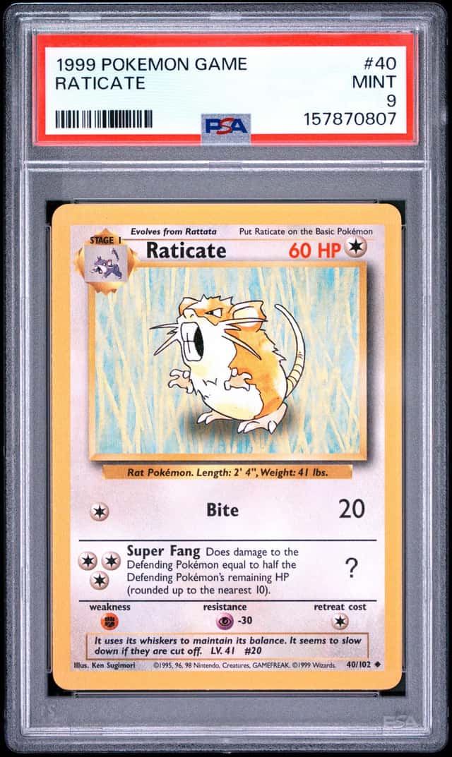 Raticate
