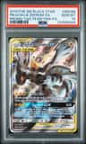 Pikachu & Zekrom Gx