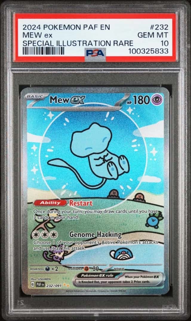 MEW ex