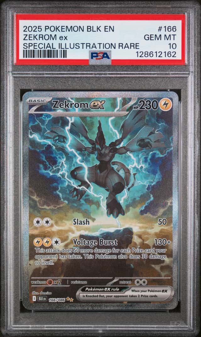 ZEKROM ex