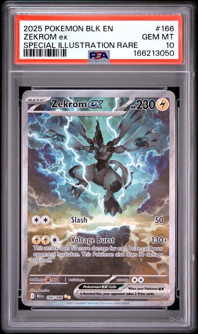 ZEKROM ex