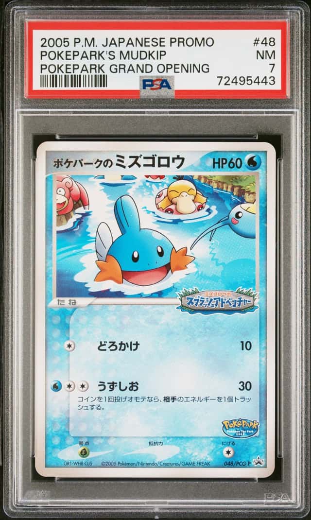 Pokepark's Mudkip