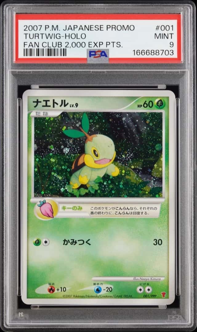 Turtwig