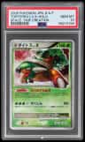 Torterra Lv X