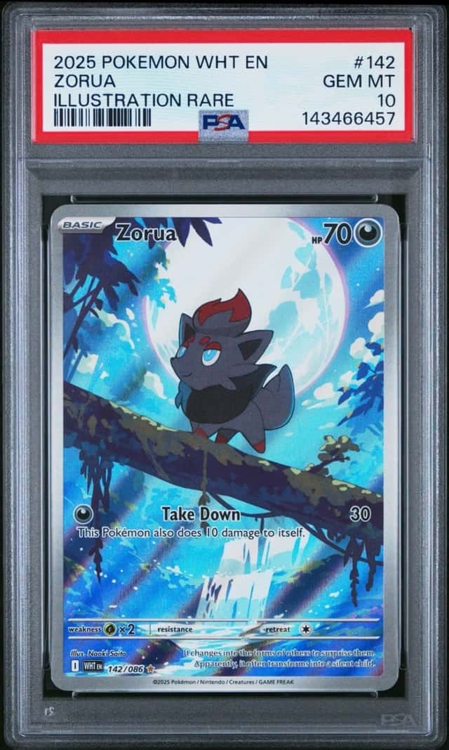 Zorua