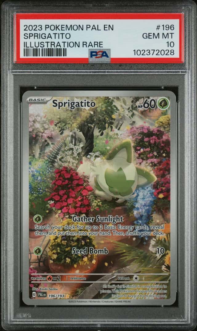 Sprigatito