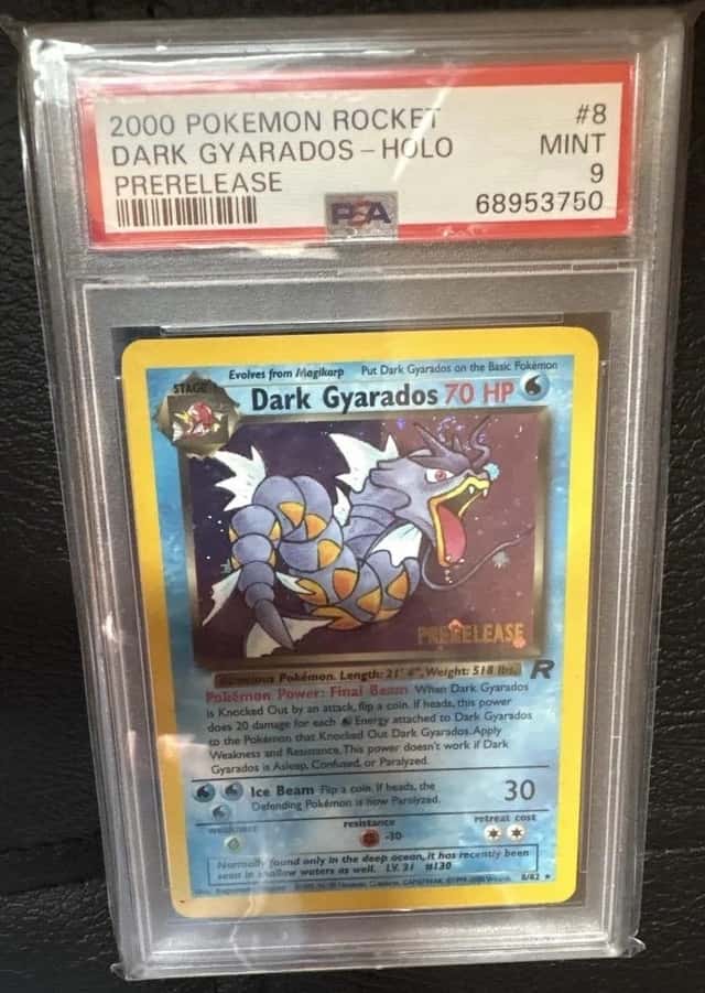 Dark Gyarados