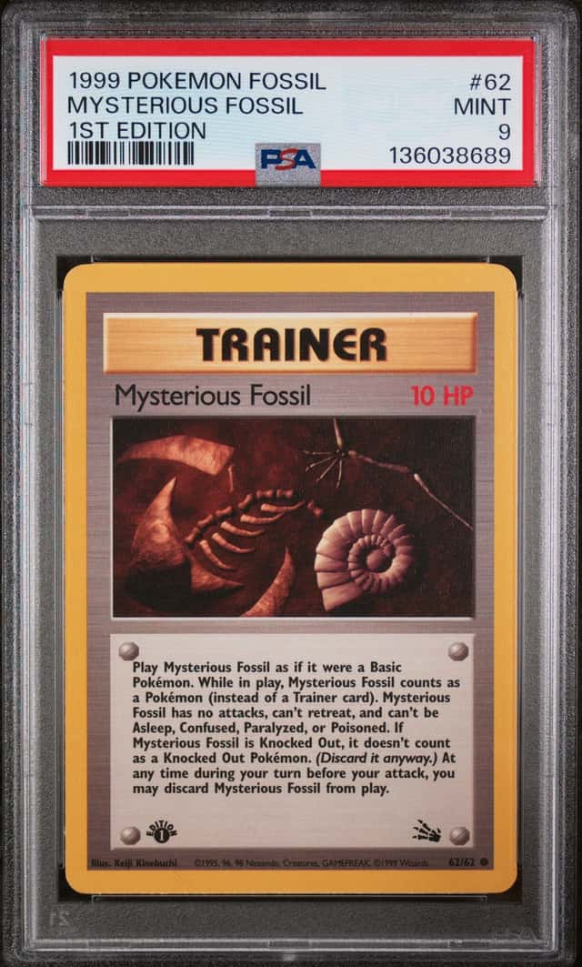 Mysterious Fossil