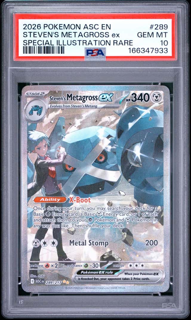 STEVEN'S METAGROSS ex