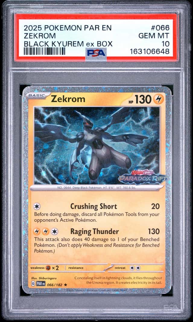 Zekrom