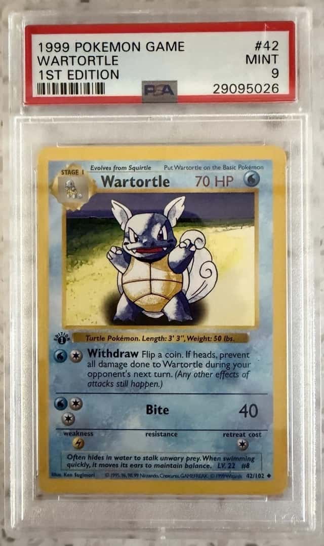 Wartortle