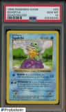 Squirtle