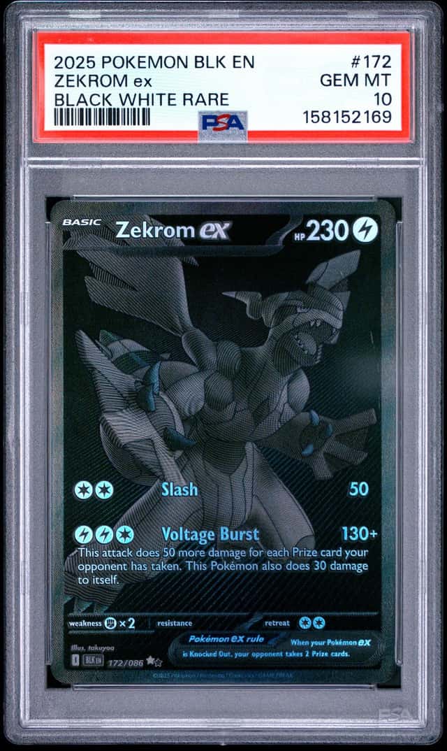 ZEKROM ex