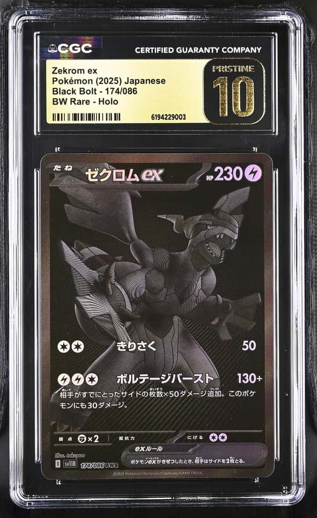 ZEKROM ex