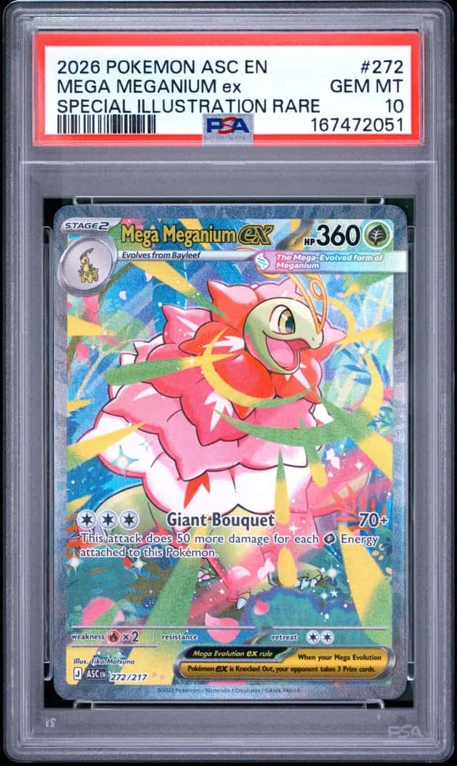 MEGA MEGANIUM ex