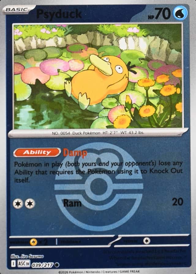 Reverse Holo