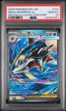 Mega Sharpedo Ex