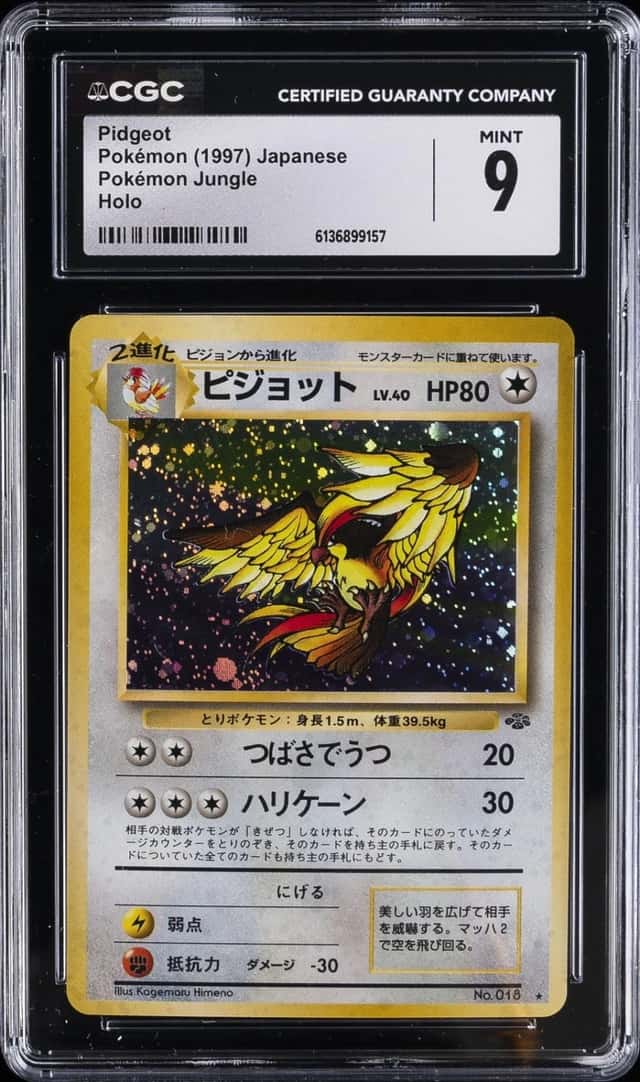 Pidgeot