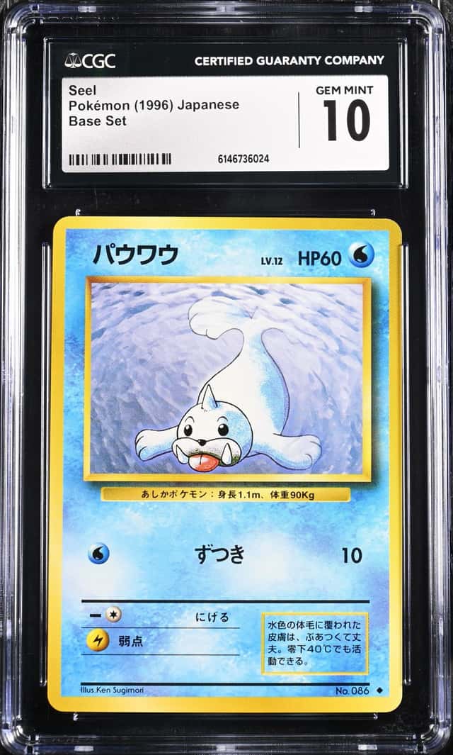 Seel
