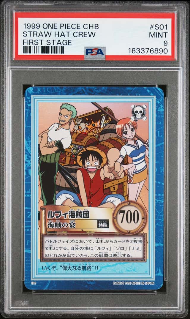 Luffy's Pirate Crew