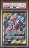 Mewtwo & Mew Gx
