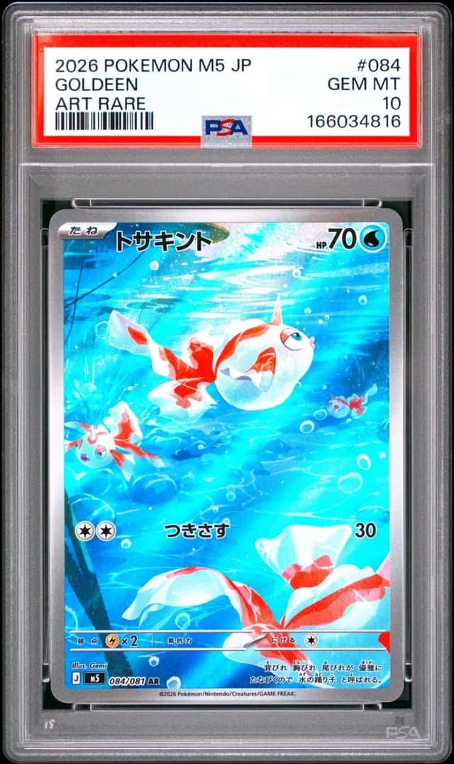 Goldeen