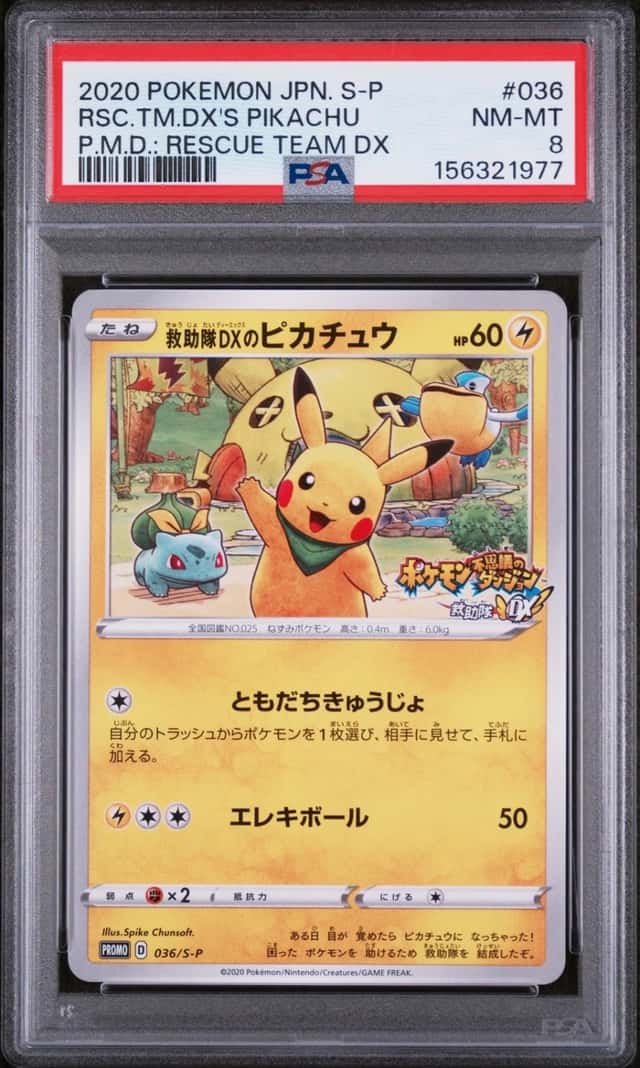 Rescue Team Dx's Pikachu