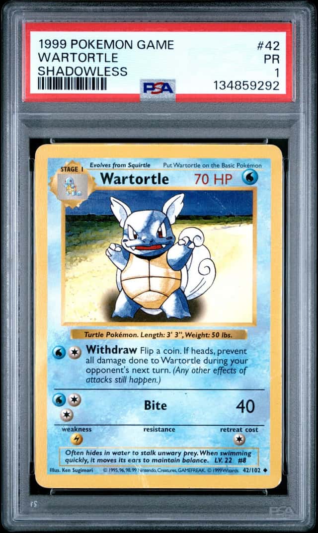 Wartortle