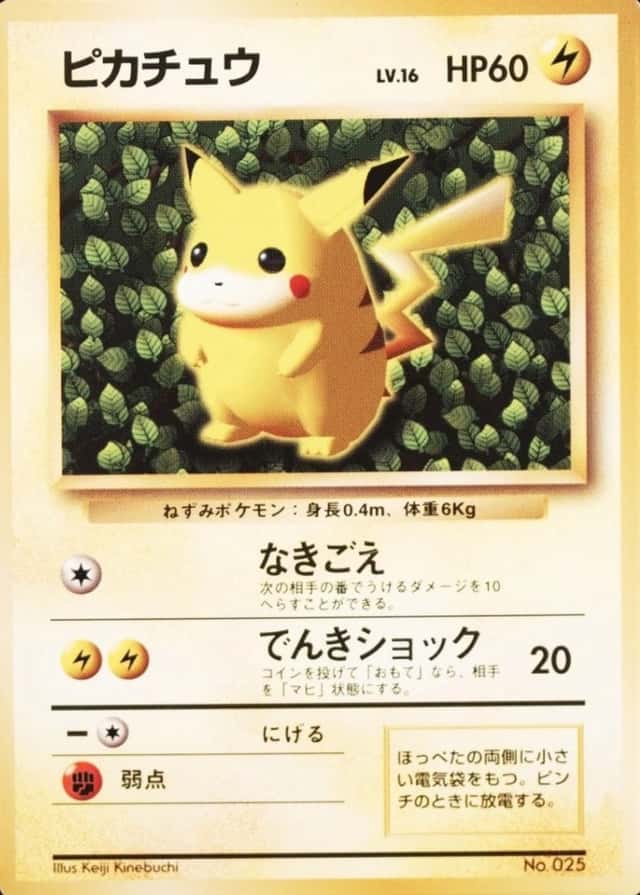 Non-Holo · Non-Glossy · Easily How Play To Understand